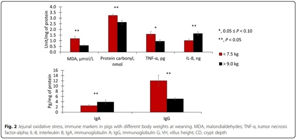 Impacts of weaning weights and mycotoxin challenges on jejunal mucosa-associated microbiota, intestinal and systemic health, and growth performance of nursery pigs - Image 8