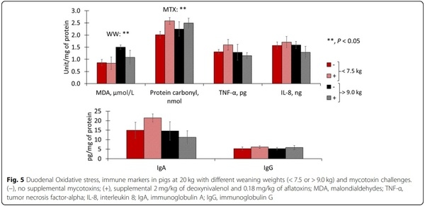 Impacts of weaning weights and mycotoxin challenges on jejunal mucosa-associated microbiota, intestinal and systemic health, and growth performance of nursery pigs - Image 11