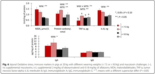 Impacts of weaning weights and mycotoxin challenges on jejunal mucosa-associated microbiota, intestinal and systemic health, and growth performance of nursery pigs - Image 12