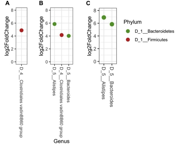 Orange corn diets associated with lower severity of footpad dermatitis in broilers - Image 9