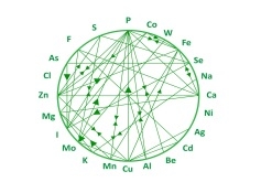 Organic trace minerals overpower inorganic trace minerals in terms of superiority in poultry nutrition - Image 1