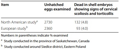 Cervical scoliosis and torticollis: a novel skeletal anomaly in broiler chickens - Image 4