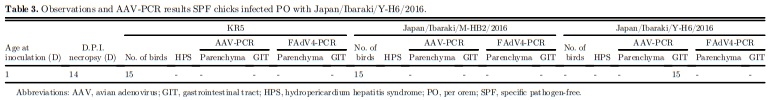Research Note: Molecular and pathologic characterization of avian adenovirus isolated from the oviducts of laying hens in eastern Japan - Image 7