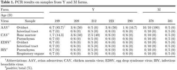 Research Note: Molecular and pathologic characterization of avian adenovirus isolated from the oviducts of laying hens in eastern Japan - Image 2