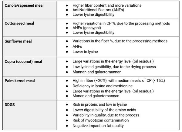 Volatility: challenges in animal feeding - Image 2