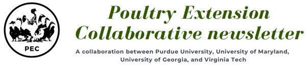 Free-range poultry predators - Image 1