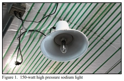 Breeder House Lighting System Retrofit - Image 1