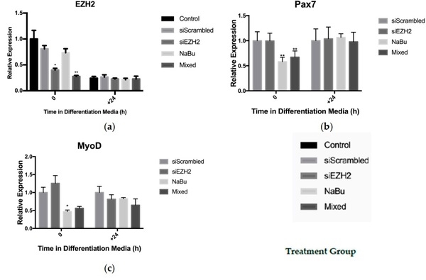 Tributyrin, a Butyrate Pro-Drug, Primes Satellite Cells for Differentiation by Altering the Epigenetic Landscape - Image 5