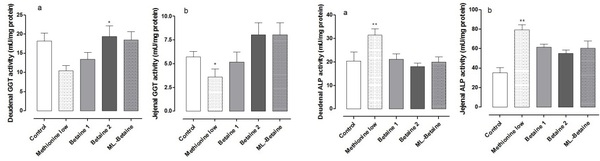 The effects of Post-Hatch Feeding with Betaine on the Intestinal Development of Broiler Chickens - Image 2