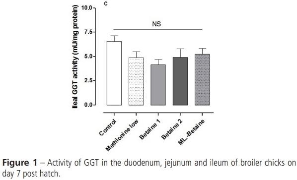 The effects of Post-Hatch Feeding with Betaine on the Intestinal Development of Broiler Chickens - Image 3