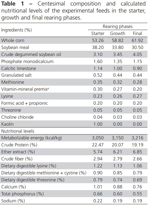 Effect of Moisture, Particle Size and Thermal Processing of Feeds on Broiler Production - Image 1