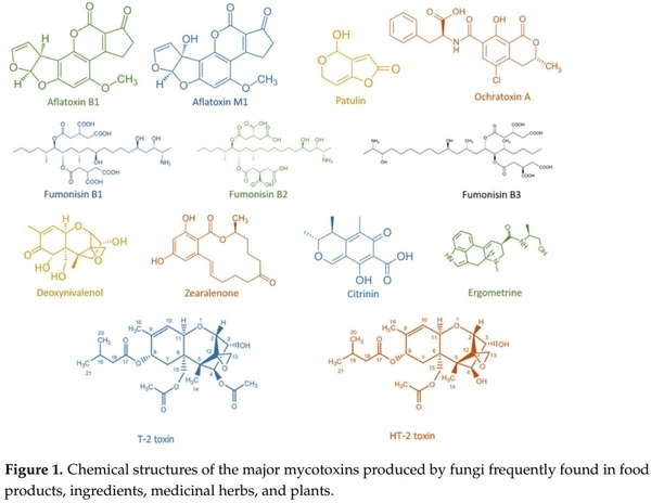 Effects of High Hydrostatic Pressure on Fungal Spores and Plant Bioactive Compounds - Image 3