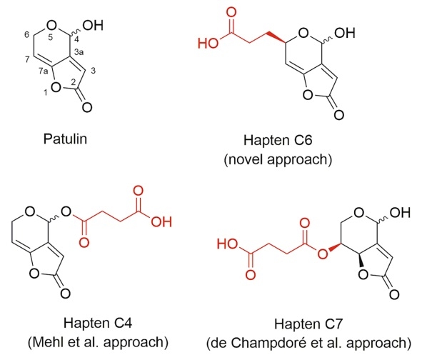 Chemical strategies for triggering the immune response to the mycotoxin patulin - Image 1
