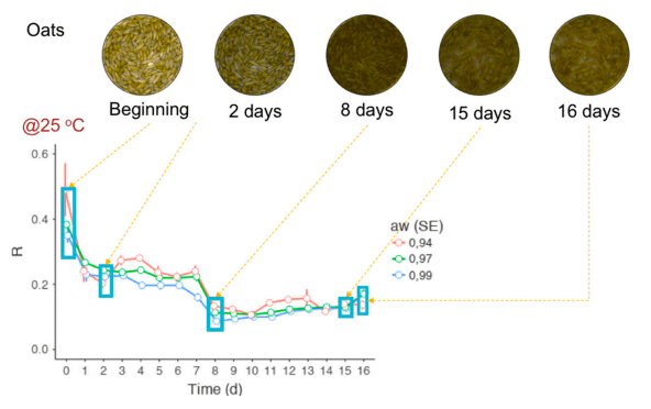 Figure 4. Red color variation of F. graminearum-contaminated oats over 16 days. Note that the color variation was similar, regardless of aw. 