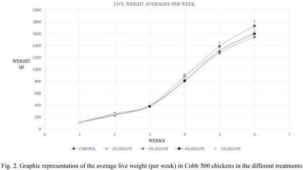 The Effect of Adding Zeolite in the Feed of Chickens Cobb 500 - Image 6