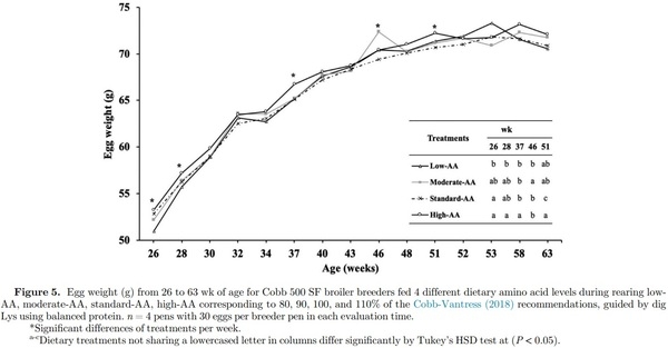 Effects of amino acid levels during rearing on Cobb 500 slow-feathering broiler breeders: 2. Reproductive performance - Image 7