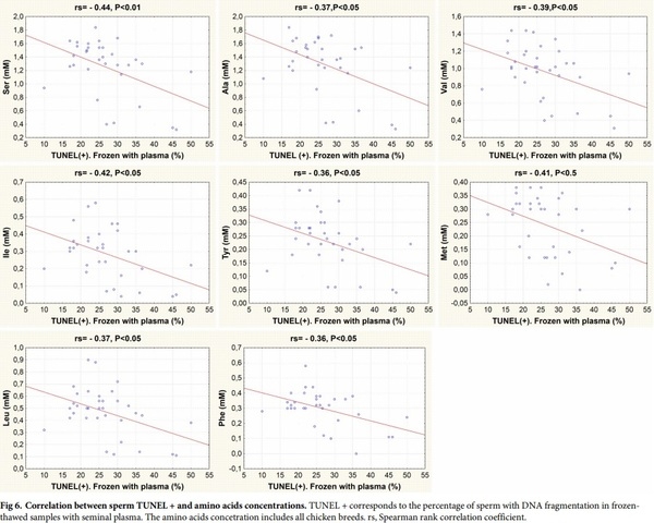 Seminal plasma amino acid profile in different breeds of chicken: Role of seminal plasma on sperm cryoresistance - Image 8