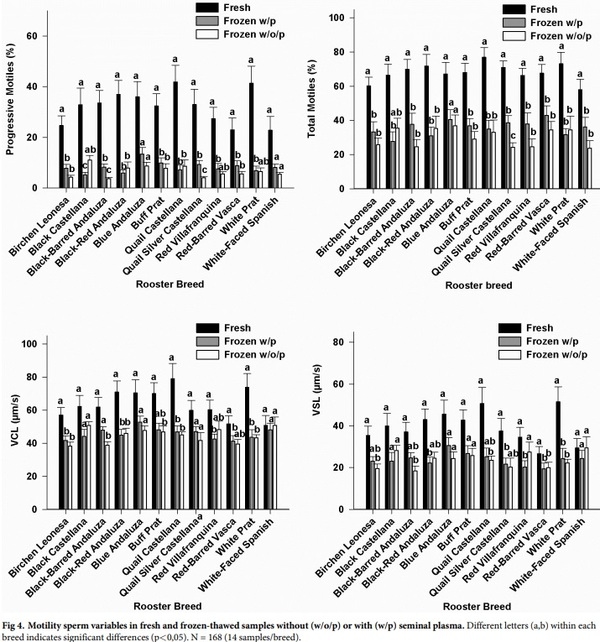 Seminal plasma amino acid profile in different breeds of chicken: Role of seminal plasma on sperm cryoresistance - Image 6