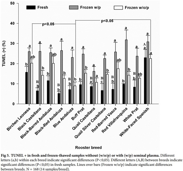 Seminal plasma amino acid profile in different breeds of chicken: Role of seminal plasma on sperm cryoresistance - Image 7