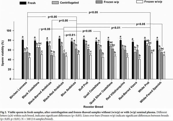 Seminal plasma amino acid profile in different breeds of chicken: Role of seminal plasma on sperm cryoresistance - Image 4