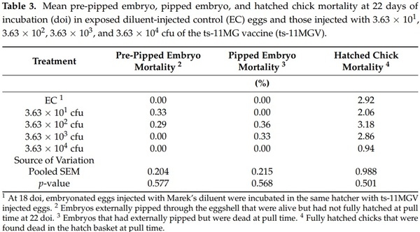 Effects of the In Ovo Vaccination of the ts-11 Strain of Mycoplasma gallisepticum in Layer Embryos and Posthatch Chicks - Image 3