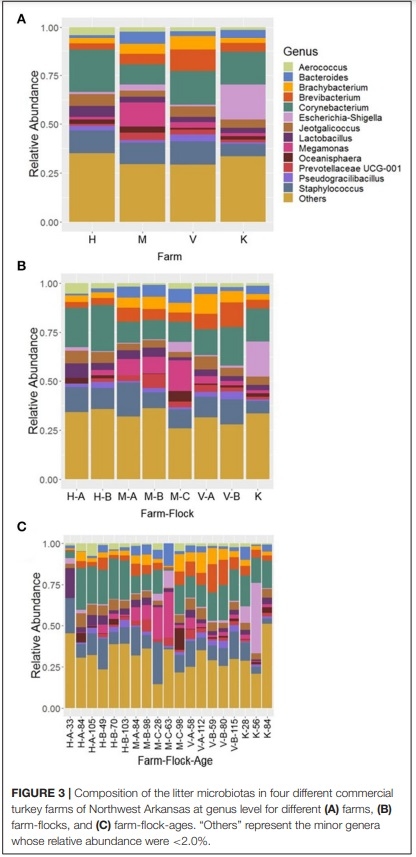 Comprehensive Survey of the Litter Bacterial Communities in Commercial Turkey Farms - Image 4