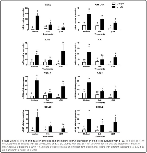 Effect of Saccharomyces cerevisiae var. Boulardii and b-galactomannan oligosaccharide on porcine intestinal epithelial and dendritic cells challenged in vitro with Escherichia coli F4 (K88) - Image 5