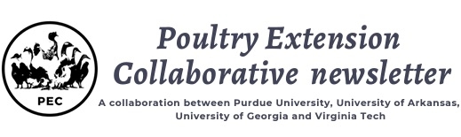 On-farm euthanasia methods for poultry - Image 1