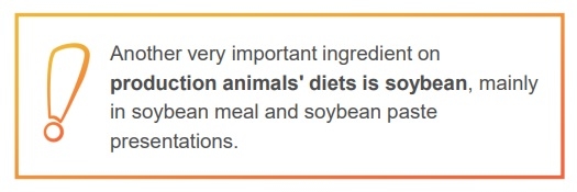 Importance of anti-nutritional factors in sorghum and soybean - Image 1