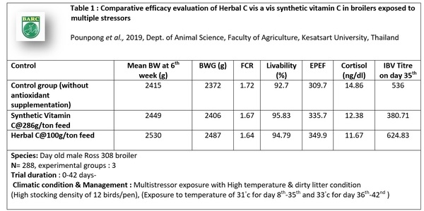 Reducing stress susceptibility in poultry with natural heat stable universal antioxidant and adaptogen ‘Herbal C’ - Image 3