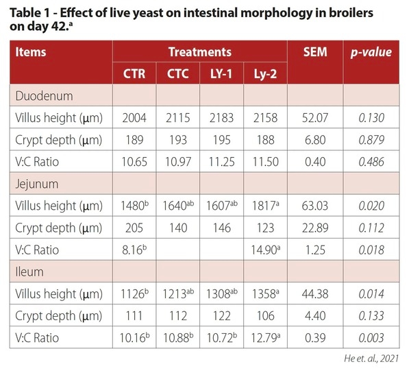 Evaluation of Actisaf on full term broiler performance - Image 6