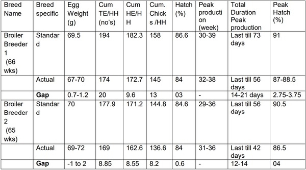 Folliculogenesis in Poultry - Image 7