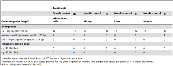 Table 7. Detection of endogenous maize and porcine gene fragments and transgene fragments in blood and organs of offspring from sows fed non-Bt control or Bt maize-based diets during gestation and lactation1,2.