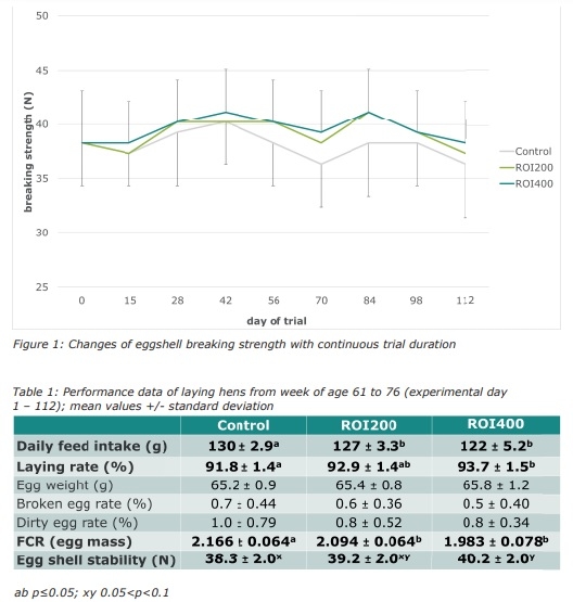 Effects of a wood-derived feed supplement on laying persistency and eggshell stability of laying hens throughout a late production period - Image 2