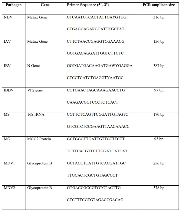 Poor biosafety and biosecurity practices and haphazard antibiotics usage in poultry farms in Nepal hindering antimicrobial stewardship - Image 2