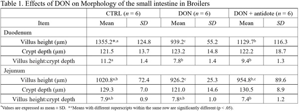 Impact of DON on broiler gut health - Image 2