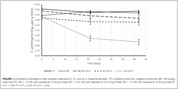 The Effect of a Modified GH11 Xylanase on Live Performance, Gut Health, and Clostridium perfringens Excretion of Broilers Fed Corn-Soy Diets - Image 5