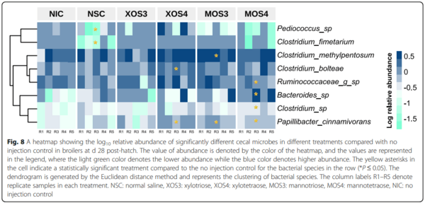 Effects of in ovo delivered xylo- and mannan- oligosaccharides on growth performance, intestinal immunity, cecal short-chain fatty acids, and cecal microbiota of broilers - Image 14