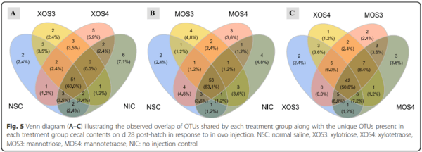 Effects of in ovo delivered xylo- and mannan- oligosaccharides on growth performance, intestinal immunity, cecal short-chain fatty acids, and cecal microbiota of broilers - Image 11