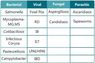 Systemic Enzymes: A Cover Against Heat Stress - Image 2