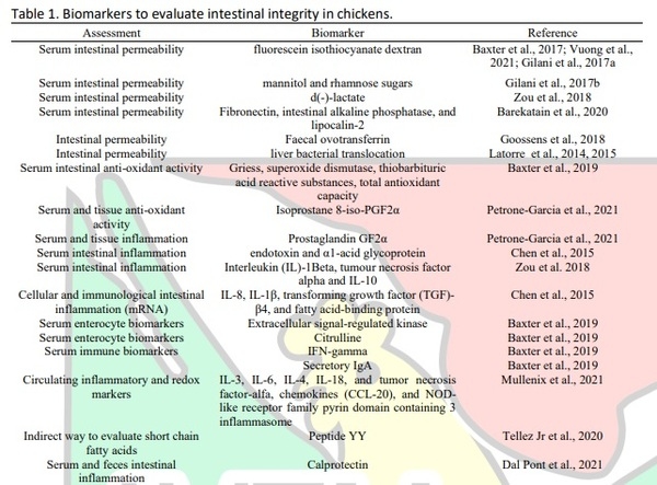 Chronic Stress, Chronic Inflammation, and Mitochondrial Dysfunction: The Silent Killers - Image 1