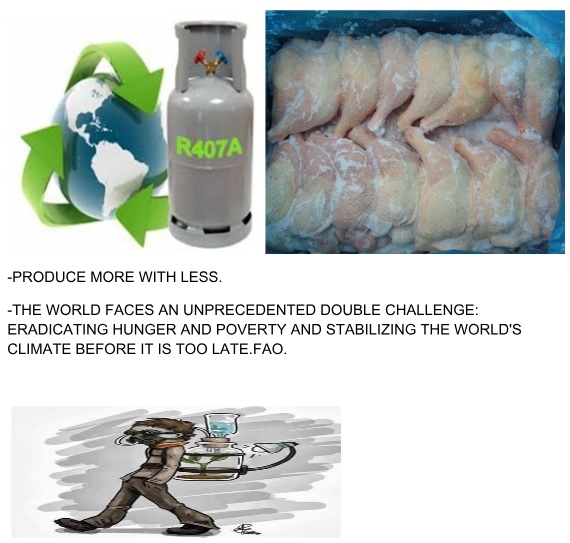 Animal Nutrition, A Modern Approach - Image 13