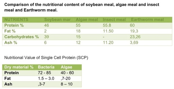 Animal Nutrition, A Modern Approach - Image 11