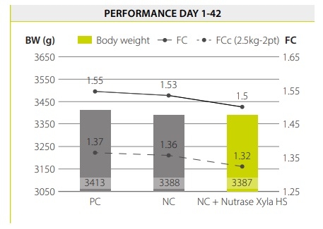 Saving feed cost by reformulating broiler diets with the use of Nutrase Xyla HS - Image 5