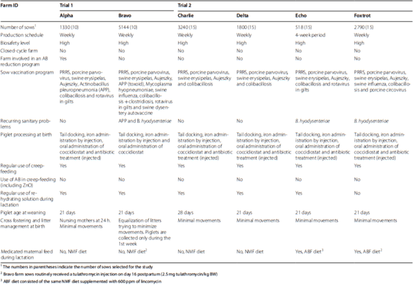 An insight into the commercial piglet’s microbial gut colonization: from birth towards weaning - Image 1