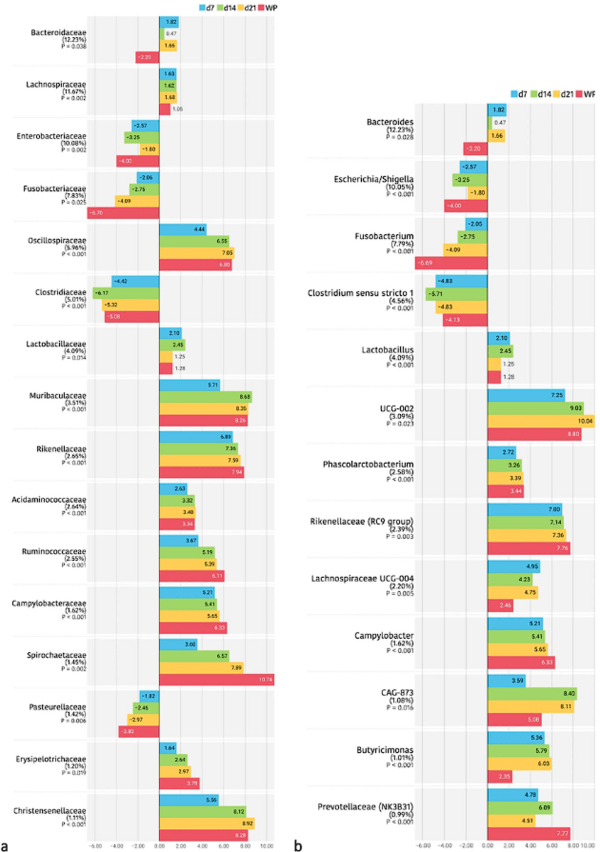 An insight into the commercial piglet’s microbial gut colonization: from birth towards weaning - Image 4
