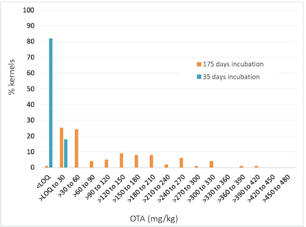 Challenges of sampling grain for mycotoxin analysis - Image 3