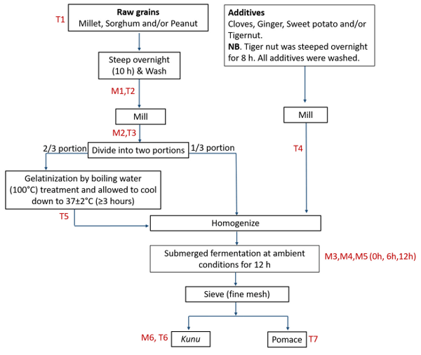 FIGURE 1 | Flow chart for kunu processing. M and T represent points of sample collection for bacterial community and mycotoxin analyses, respectively.