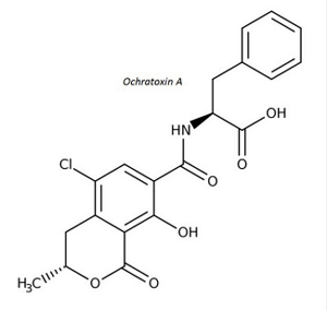 FIGURE 4 | Molecular structure of ochratoxin A.