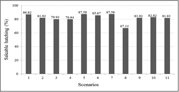 Artificial neural networks for the management of poultry industry: a simulation based on the broiler production chain - Image 6